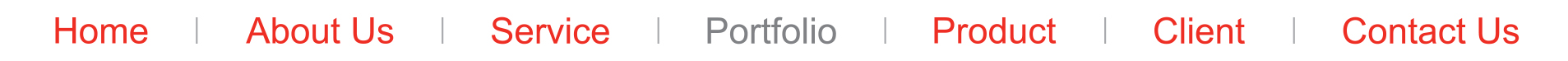 portfolio navi